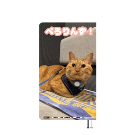【予約販売】 ゴールデンレトリバー犬＆保護猫 ぺろりんず！ 2027年 ポケットスケジュール帳 PO27050