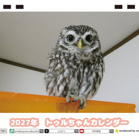 【予約販売】 ふくろうのトゥルちゃん 2027年 卓上 カレンダー TC27106