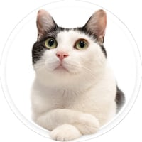 【予約販売】 ウルン＆リコリン 猫 缶バッジ 3個セット GE016NN
