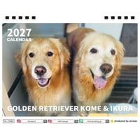 【予約販売】 コメ&イクラ ゴールデンレトリバー 犬 2027年 卓上 半面 カレンダー TA27225