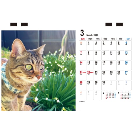 【予約販売】 TENTEN 猫 2027年 卓上 カレンダー TC27194