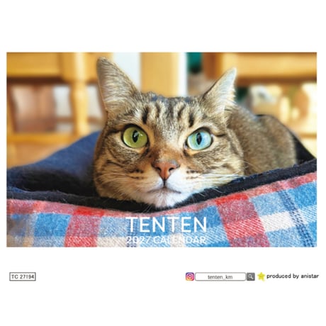 【予約販売】 TENTEN 猫 2027年 卓上 カレンダー TC27194