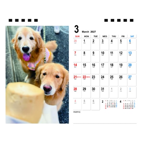【予約販売】 コメ&イクラ ゴールデンレトリバー 犬 2027年 卓上 半面 カレンダー TA27225