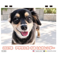 【予約販売】 うみくん アザラシ犬 チワックス 2027年 卓上 カレンダー TC27222