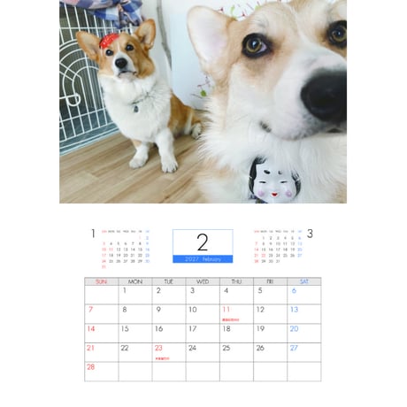 【予約販売】 初めてのコーギー 犬 2027年 壁掛け カレンダー KK27161