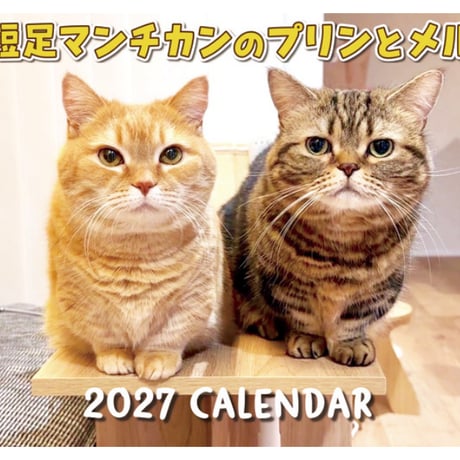 【予約販売】 短足マンチカンのプリンとメル 2027年 壁掛け カレンダー KK27271