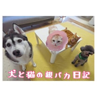【予約販売】 犬と猫の親バカ日記 2027年 壁掛け カレンダー KK27111