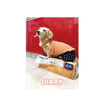 【予約販売】 くぅ＆らいら ミニチュアダックス 犬 日記帳 DR017NN