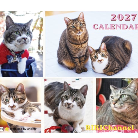 【予約販売】 リキちゃんねる 猫 2027年 卓上 カレンダー TC27283