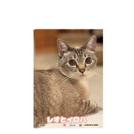 【予約販売】 レオとイロハ 猫 A5ノート帳 No21 No021NN