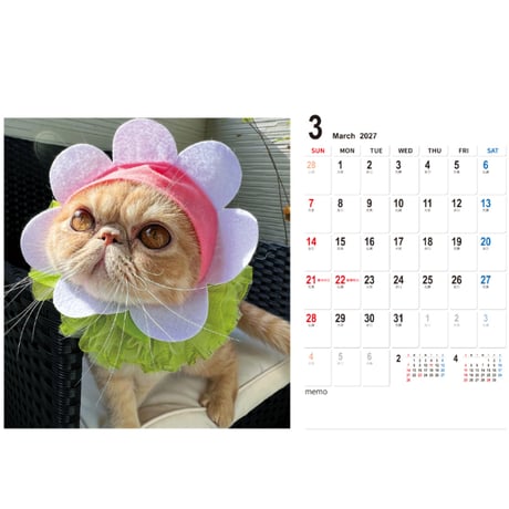 【予約販売】 むーちゃんとちぇるしー エキゾチック猫 2027年 卓上 カレンダー TC27070