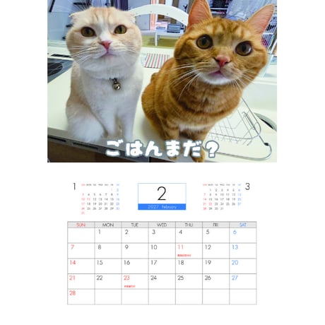【予約販売】 犬と猫の親バカ日記 2027年 壁掛け カレンダー KK27111