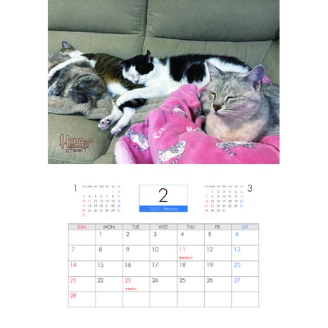 【予約販売】 Hana Channel 保護猫ライフ 2027年 壁掛け カレンダー KK27300