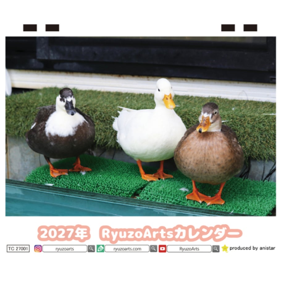 6ac7396abf3f06a9e40cd054