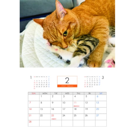 【予約販売】 もち＆むぎ 猫 2027年 壁掛け カレンダー KK27297