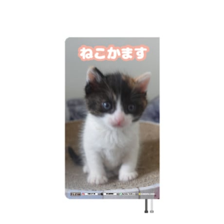 【予約販売】 ねこかます 猫 2027年 ポケットスケジュール帳 PO27128