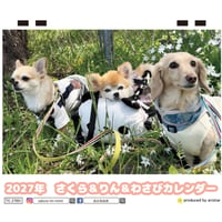 【予約販売】 さくら＆りん＆わさび 犬 2027年 卓上 カレンダー TC27076