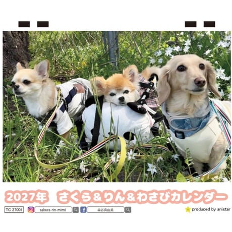 【予約販売】 さくら＆りん＆わさび 犬 2027年 卓上 カレンダー TC27076