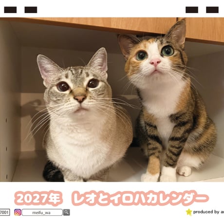 【予約販売】 レオとイロハ 猫 2027年 卓上 カレンダー TC27068