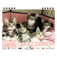 【予約販売】 ねこたま庵 猫 2027年 卓上 カレンダー TA27201