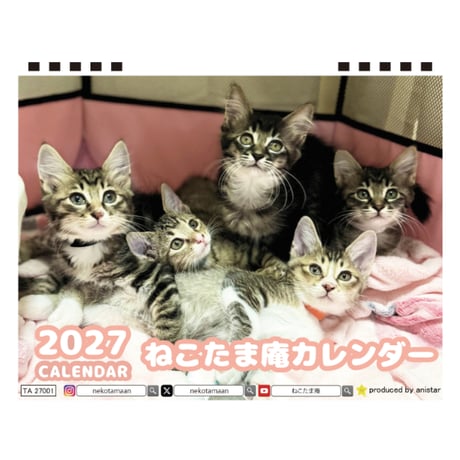 【予約販売】 ねこたま庵 猫 2027年 卓上 カレンダー TA27201