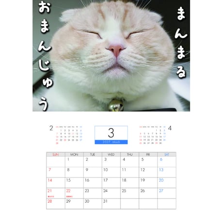 【予約販売】 犬と猫の親バカ日記 まんまる猫 2027年 壁掛け カレンダー KK27112