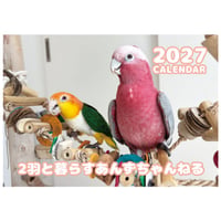 【予約販売】 2羽と暮らすあんずちゃんねる インコ 2027年 壁掛け カレンダー KK27294