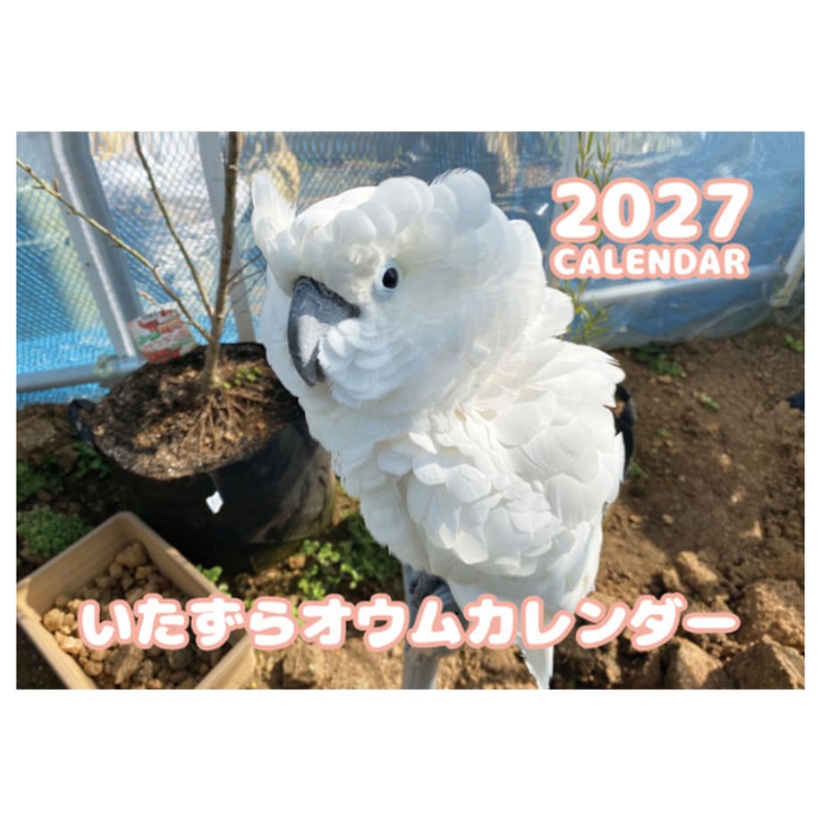 6ab21a670ef2b400e8686ffc
