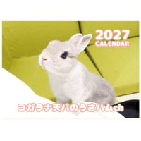 【予約販売】 コガラナ天パのうさハムch うさぎのぽぽちゃん 2027年 壁掛け カレンダー KK27229