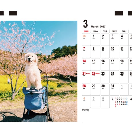 【予約販売】 ゴールデンレトリバー ダン 犬 2027年 卓上 カレンダー TC27160