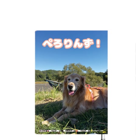 【予約販売】 ゴールデンレトリバー犬＆保護猫 ぺろりんず！ 2027年 A5スケジュール帳 A527049