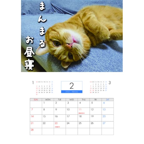 【予約販売】 犬と猫の親バカ日記 まんまる猫 2027年 壁掛け カレンダー KK27112