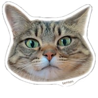 【予約販売】 TENTEN 猫 ステッカー No35 3枚セット SU035NN