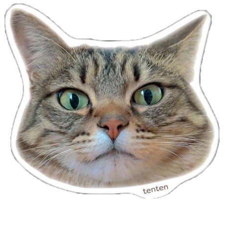 【予約販売】 TENTEN 猫 ステッカー No35 3枚セット SU035NN