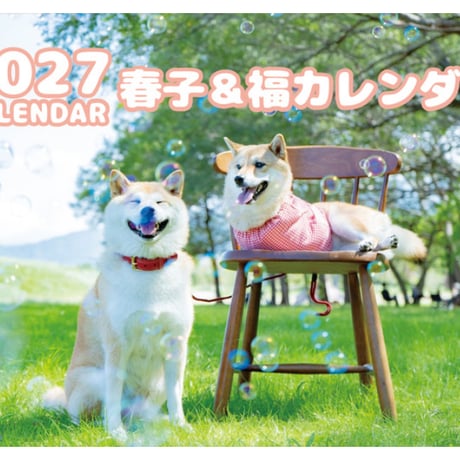 【予約販売】 柴犬の春子＆福 2027年 壁掛け カレンダー KK27280