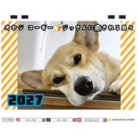 【予約販売】 オヤジ コーギー ジッさんに癒される日々 犬 2027年 卓上 カレンダー TC27191