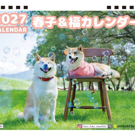 【予約販売】 柴犬の春子＆福 2027年 卓上 カレンダー TC27281