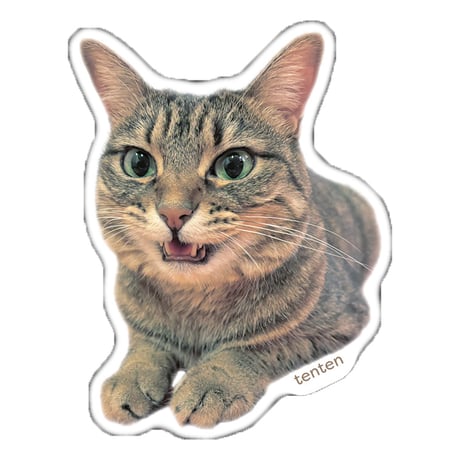 【予約販売】 TENTEN 猫 ステッカー No35 3枚セット SU035NN
