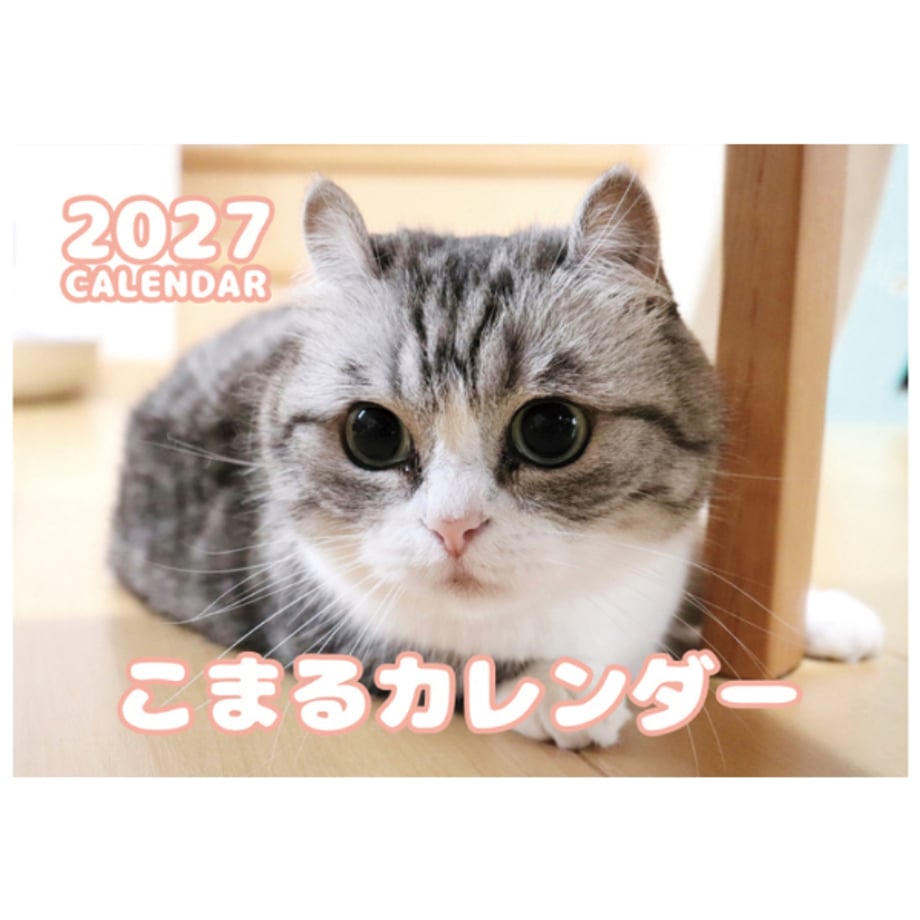 6abcf237d15c634f6b75d732