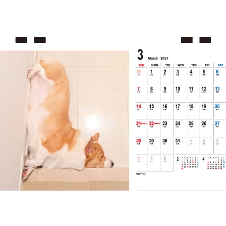 【予約販売】 こまち コーギー 犬 2027年 卓上 カレンダー TC27248