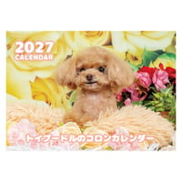 【予約販売】 トイプードル犬のコロン 2027年 壁掛け カレンダー KK27056