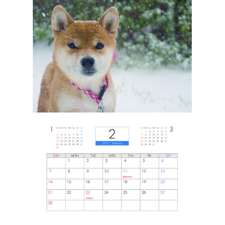 【予約販売】 柴犬 小夏 2027年 壁掛け カレンダー KK27098