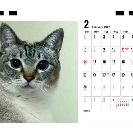 【予約販売】 レオとイロハ 猫 2027年 卓上 カレンダー TC27068