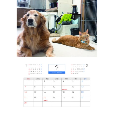 【予約販売】 ゴールデンレトリバー犬＆保護猫 ぺろりんず！ 2027年 壁掛け カレンダー KK27047