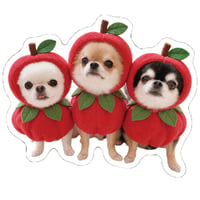 【予約販売】 うに&えび&とろ チワワ 犬 ステッカー 3枚セット SU038NN