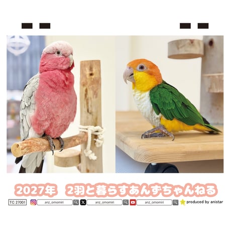【予約販売】 2羽と暮らすあんずちゃんねる インコ 2027年 卓上 カレンダー TC27295