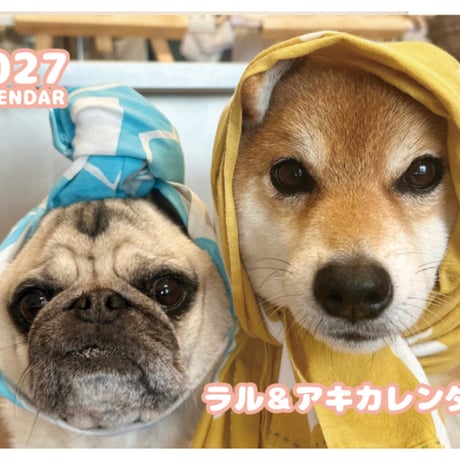 【予約販売】 ラル＆アキ パグ 柴犬 2027年 壁掛け カレンダー KK27149