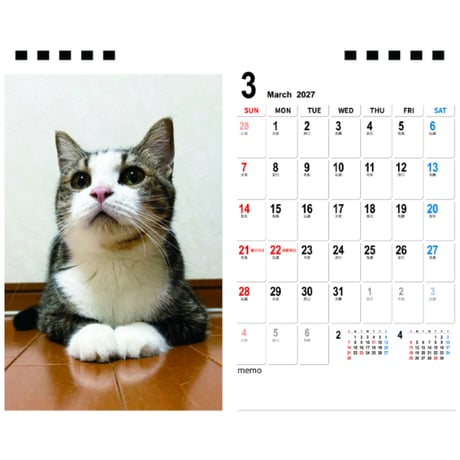 【予約販売】 ひのき猫 2027年 卓上 カレンダー TA27276