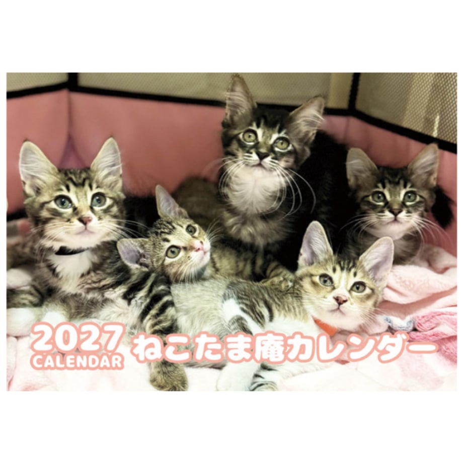 6abf75769e404368e5f92ebd