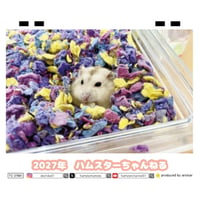 【予約販売】 ハムスターちゃんねる 2027年 卓上 カレンダー TC27260